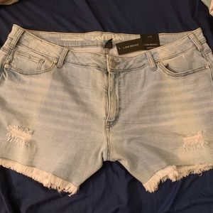 Lane Bryant Light Blue Distressed Jean Shorts